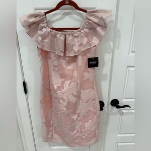 Bigio Pink Floral Collection Dress. NWT.